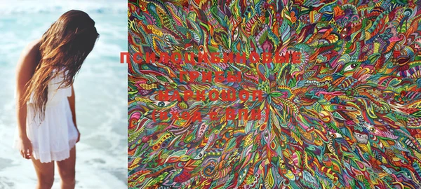 PSILOCYBIN Кинешма