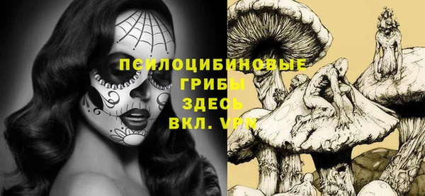PSILOCYBIN Кинешма