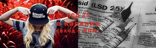 дживик Козельск